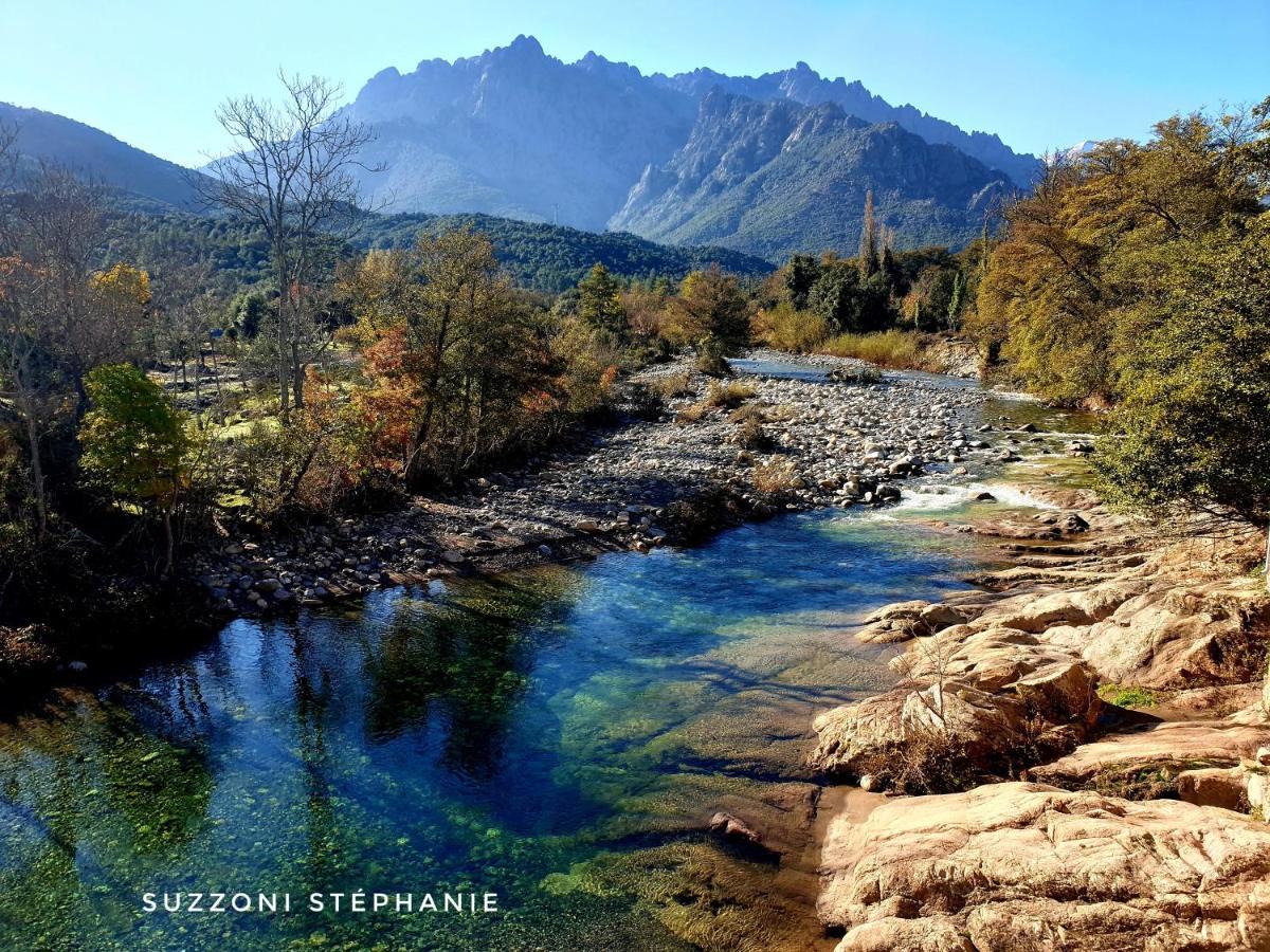 Pianotolinca - Rez De Villa Entre Mer Et Montagne Moltifao Екстериор снимка